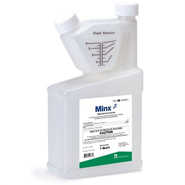 Minx 2 Miticide Insecticide